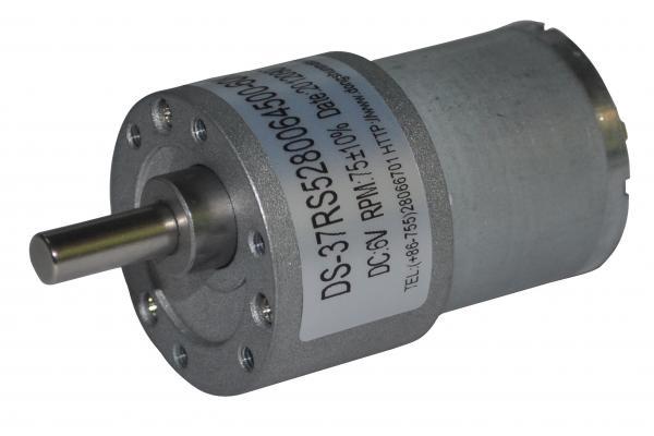 Small DC spur gear motor